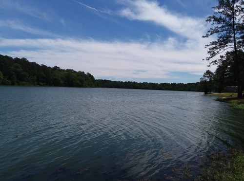 A serene lake surrounded by trees under a blue sky with wispy clouds. Gentle ripples on the water's surface.