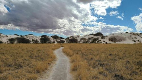 A winding path through golden grass leads to white sand dunes under a cloudy blue sky.