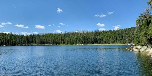 A serene lake surrounded by lush green trees and mountains under a clear blue sky with scattered clouds.