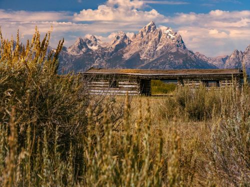 A rustic wooden structure in a grassy field, with snow-capped mountains and a blue sky in the background.