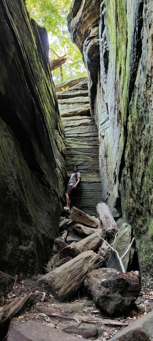 A person stands between tall rock formations in a narrow canyon, surrounded by greenery and fallen logs.
