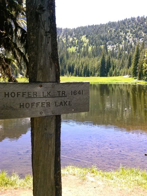 A wooden sign for Hoffer Lake Trail 1641 beside a calm lake surrounded by lush green trees and mountains.