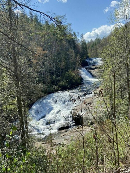 A scenic view of cascading waterfalls surrounded by lush greenery and trees under a clear blue sky.