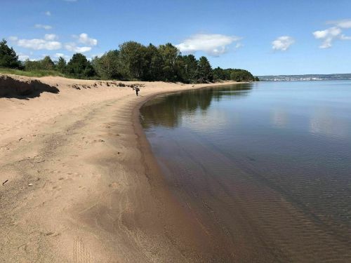 A serene beach scene with a sandy shore, calm water, and trees under a clear blue sky. A person walks along the shoreline.