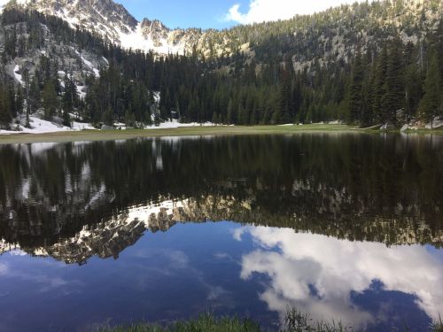 A serene mountain lake reflecting trees and clouds, surrounded by snow-capped peaks and lush greenery.