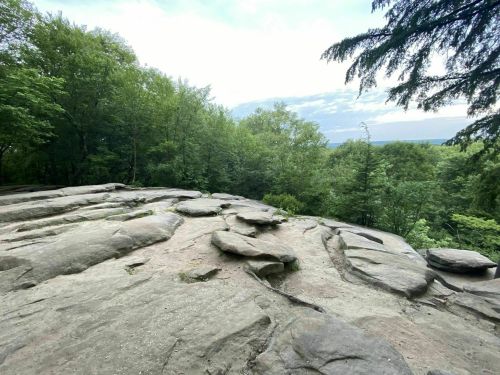 A rocky outcrop surrounded by lush green trees under a cloudy sky.