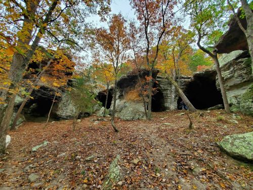 A scenic view of rocky caves surrounded by autumn foliage and fallen leaves on the forest floor.