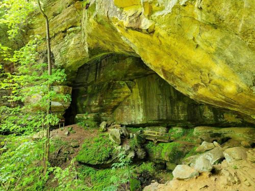 A lush green cave entrance surrounded by mossy rocks and trees, with a wooden bridge leading into the cave.