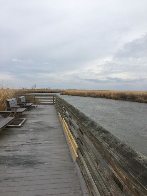 A wooden boardwalk extends over a calm waterway, surrounded by tall grasses under a cloudy sky.