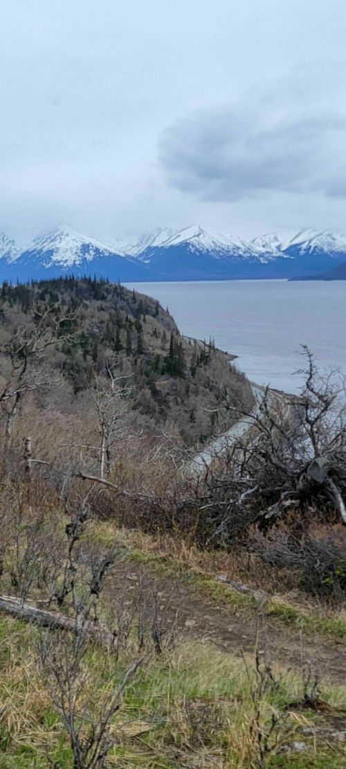 A scenic view of a coastline with mountains in the background, featuring trees and a cloudy sky.