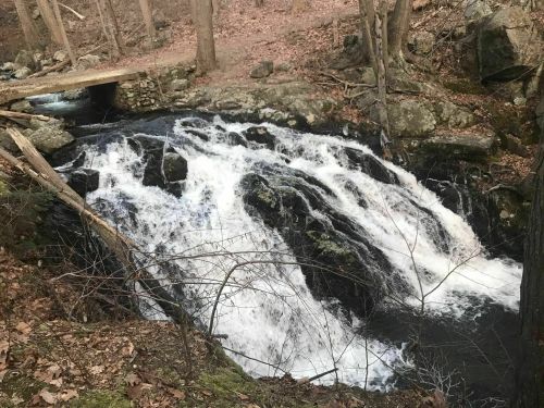 A serene waterfall cascades over rocks in a wooded area, surrounded by trees and fallen leaves.