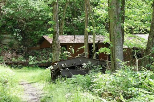 Abandoned rusted machinery and structures overgrown with greenery in a forested area.