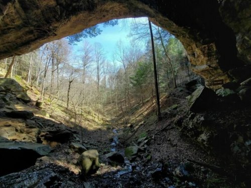 A scenic view from inside a cave, showing a forested valley with trees and a small stream under a clear blue sky.