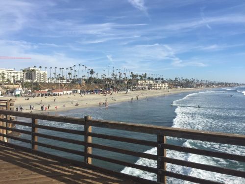 A sunny beach scene with people enjoying the shore, palm trees lining the coast, and gentle waves lapping at the sand.