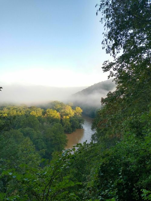 A serene river winds through lush green trees, shrouded in morning mist under a clear blue sky.