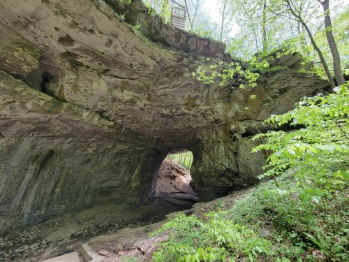 A natural rock formation with a large arch, surrounded by lush greenery and trees in a serene forest setting.