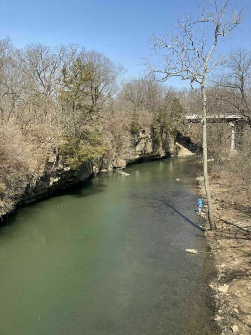 A serene river flows through a wooded area, with a person fishing on the bank under a clear blue sky.