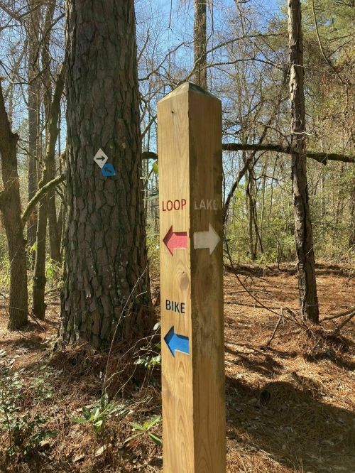 Wooden trail sign in a forest, indicating directions for "Loop," "Lake," and "Bike" with colored arrows.