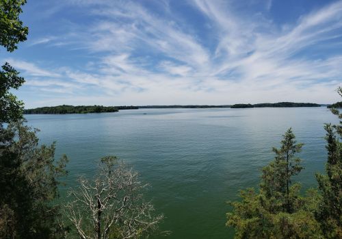 A serene lake view with clear blue skies, lush greenery, and gentle ripples on the water's surface.