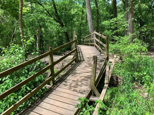 A wooden bridge winding through a lush green forest, surrounded by trees and foliage.