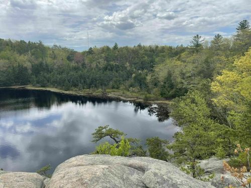 A serene lake surrounded by lush greenery and trees under a cloudy sky, viewed from a rocky outcrop.