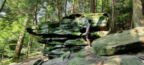 A person stands beside a large, moss-covered rock formation in a lush, green forest.