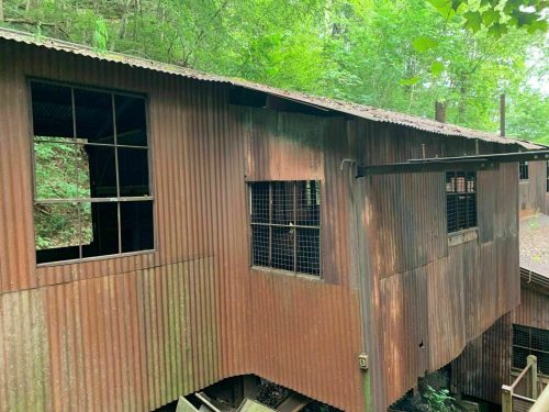 Rusty, corrugated metal building with windows, surrounded by lush green trees in a forested area.