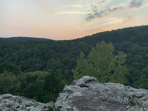 A rocky outcrop overlooks a lush green forest at sunset, with soft clouds in the sky.