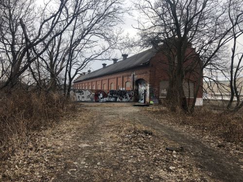 Abandoned brick building covered in graffiti, surrounded by bare trees and overgrown vegetation.