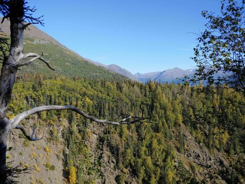 A scenic view of mountains and a forested valley under a clear blue sky, with autumn foliage visible.