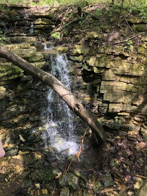 A small waterfall cascades over rocky terrain, with a fallen tree branch resting against the stones.