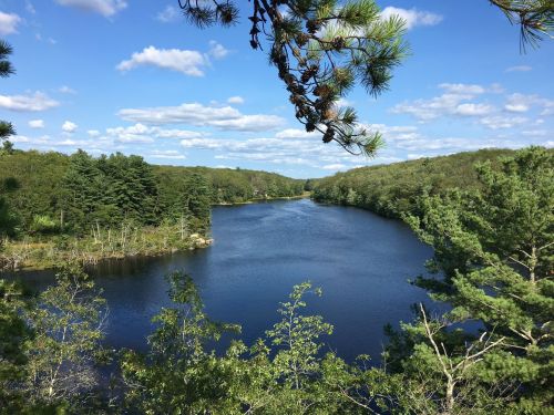A serene river flows through a lush green landscape under a blue sky with fluffy clouds.