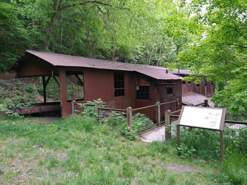A rustic wooden building surrounded by greenery, with a sign and a path leading to it.