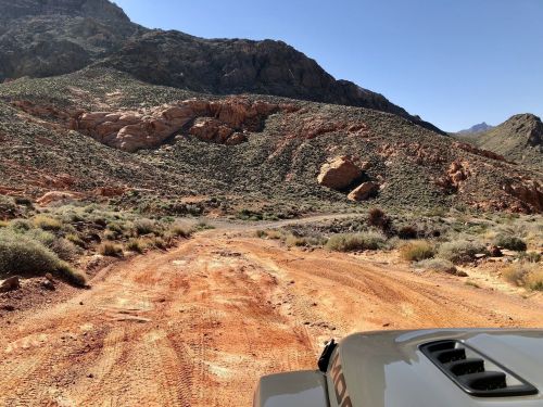 A rugged dirt road winds through rocky terrain and desert vegetation, with mountains in the background under a clear blue sky.
