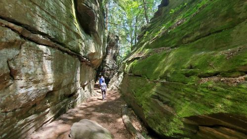 A person walks through a narrow, moss-covered canyon surrounded by tall, rocky walls and lush greenery above.
