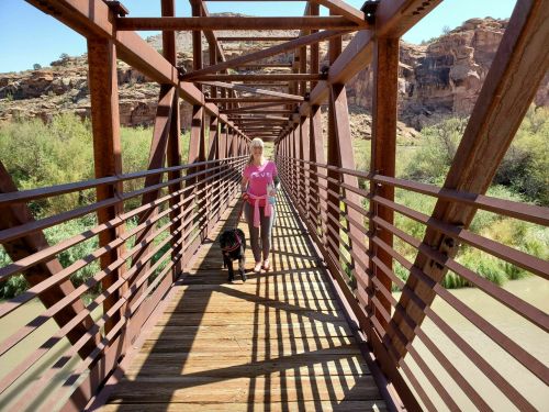 A woman walks a black dog on a bridge surrounded by greenery and rocky cliffs under a clear blue sky.
