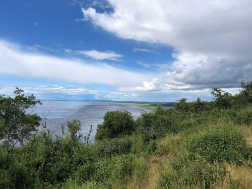 A scenic view of a coastline with lush greenery, blue skies, and clouds over a calm sea.