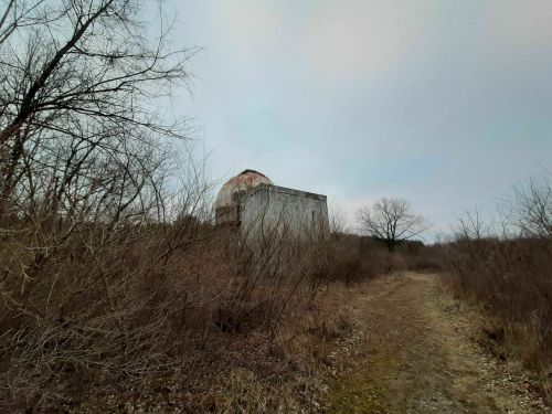 An abandoned structure partially hidden by overgrown bushes along a dirt path under a cloudy sky.