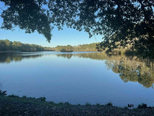 A serene lake surrounded by trees, reflecting the clear blue sky and greenery on the water's surface.