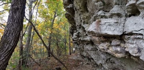 A rocky cliffside surrounded by trees with autumn foliage, creating a serene natural landscape.