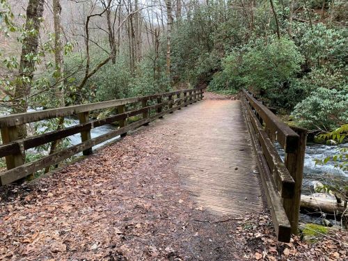 A wooden bridge over a stream, surrounded by trees and greenery, with fallen leaves on the ground.