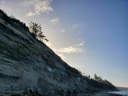 A coastal cliff with sparse trees against a clear blue sky and soft clouds, reflecting sunlight.