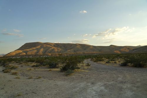 A desert landscape with rolling hills under a clear sky, featuring sparse vegetation and a dirt path leading into the distance.
