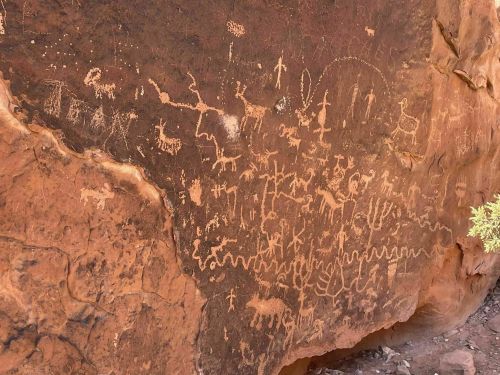 Petroglyphs on a rock wall, depicting various animals and human figures in a desert landscape.