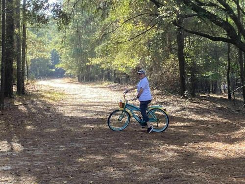 A person on a teal bicycle stands on a forest path surrounded by trees and sunlight filtering through the leaves.
