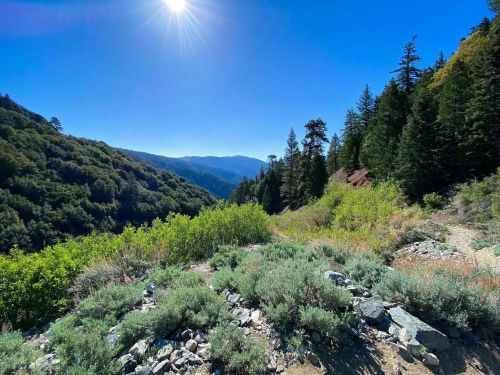 A scenic mountain landscape with lush greenery, rocky terrain, and a bright sun shining in a clear blue sky.
