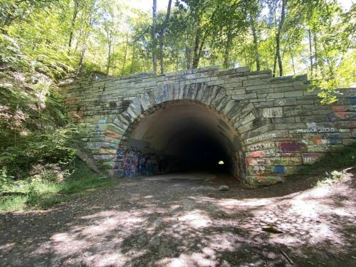 A stone tunnel surrounded by trees, with colorful graffiti on its walls and a dirt path leading into darkness.
