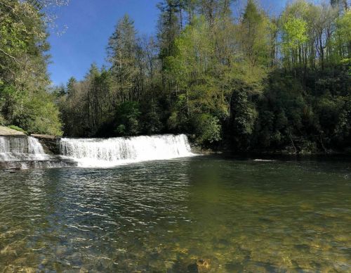 A serene waterfall cascades into a clear pool, surrounded by lush green trees under a bright blue sky.