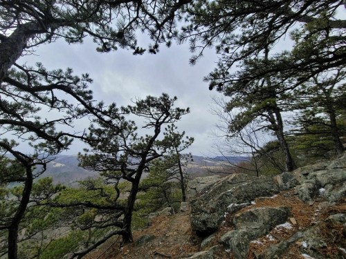 A rocky landscape framed by pine trees, with a cloudy sky and distant hills visible in the background.