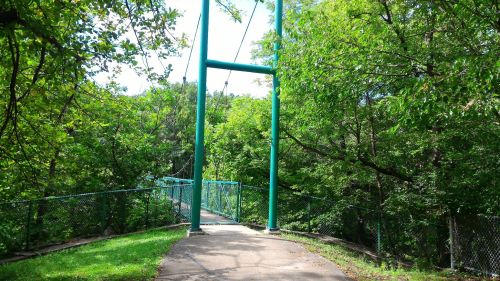 A suspension bridge surrounded by lush green trees and a clear blue sky.